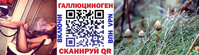 купить закладку  Спасск-Рязанский  Галлюциногенные грибы Psilocybine cubensis 